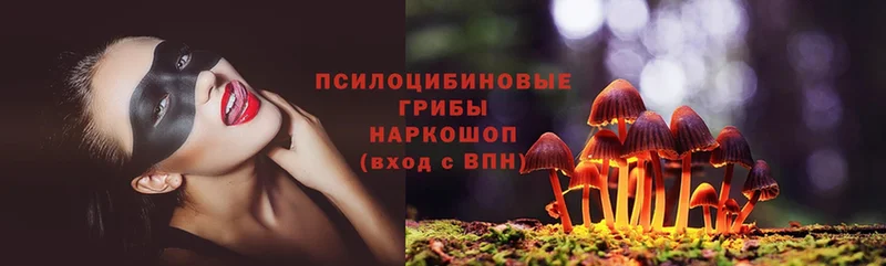 Псилоцибиновые грибы MAGIC MUSHROOMS  дарк нет как зайти  Луза 